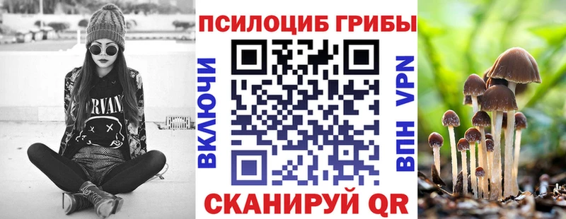 Псилоцибиновые грибы Psilocybe  Купить где  Кологрив 